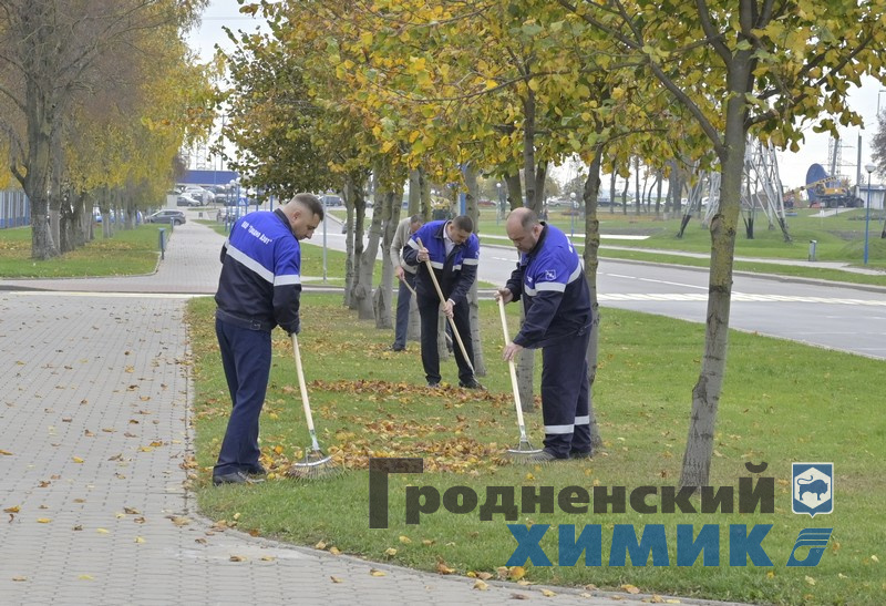 4566768798090 (11).jpg